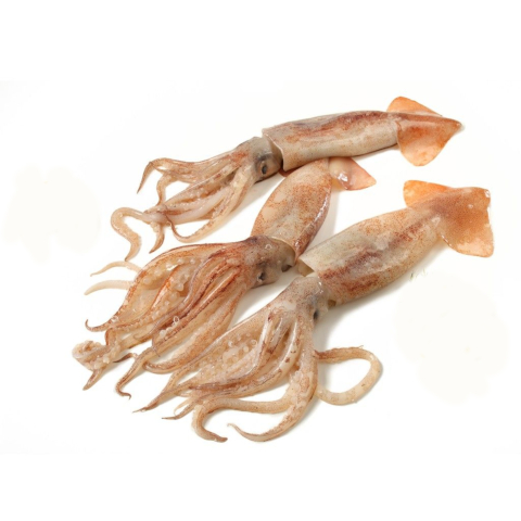 Cuore di Merluzzo fresco in offerta presso Pescheria IL PORTICCIOLO Ciampino